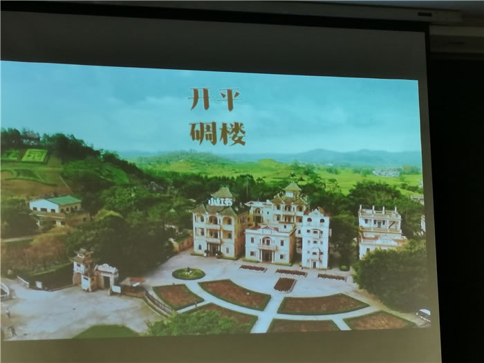 广州佛山顺德开平那琴半岛海陵岛双卧11日游推荐会