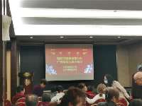 独家开行广州佛山顺德开平那琴半岛海陵岛双卧11日游