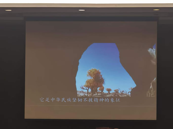 绵阳中旅行假日旅行社举行胡杨林、南疆专列推荐会