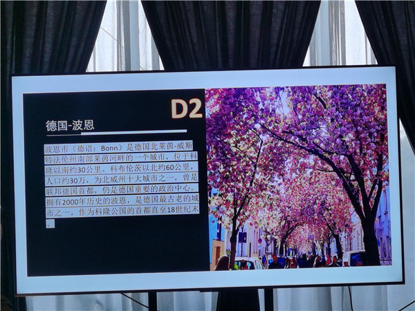 四川中青旅绵阳分社独家定制圆梦欧洲系列 - 大全景 9 国 16 天 德国-法国-瑞士-意大利-奥地利-荷兰-比利时-列支敦士登-卢森堡