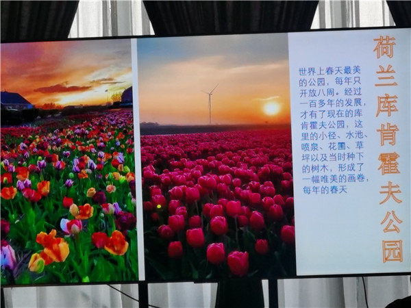 四川中青旅绵阳分社独家定制圆梦欧洲系列 - 大全景 9 国 16 天 德国-法国-瑞士-意大利-奥地利-荷兰-比利时-列支敦士登-卢森堡