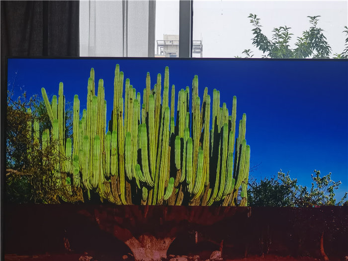 绵阳中旅假日旅行社2025年澳洲暨秋季线路品鉴会