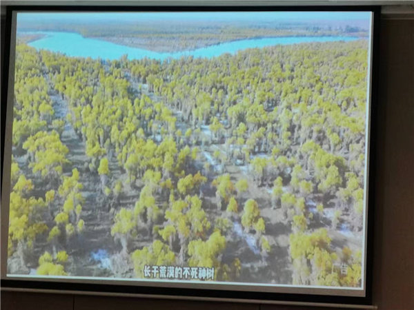 “金色胡杨 南疆盛景”秋摄漫旅行空调专列13日游