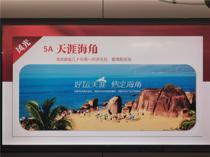 绵阳中旅假日旅行社2025年暖冬线路推荐会