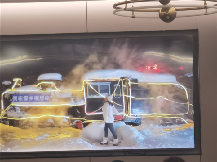 绵阳中旅假日旅行社2025年东北熊猫专列分享会